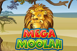 MEGA MOOLAH