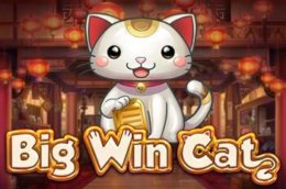 Big Win Cat Slot